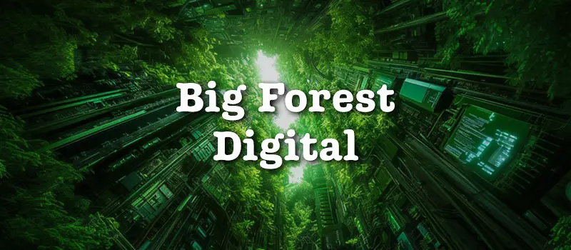 Big Forest Digital